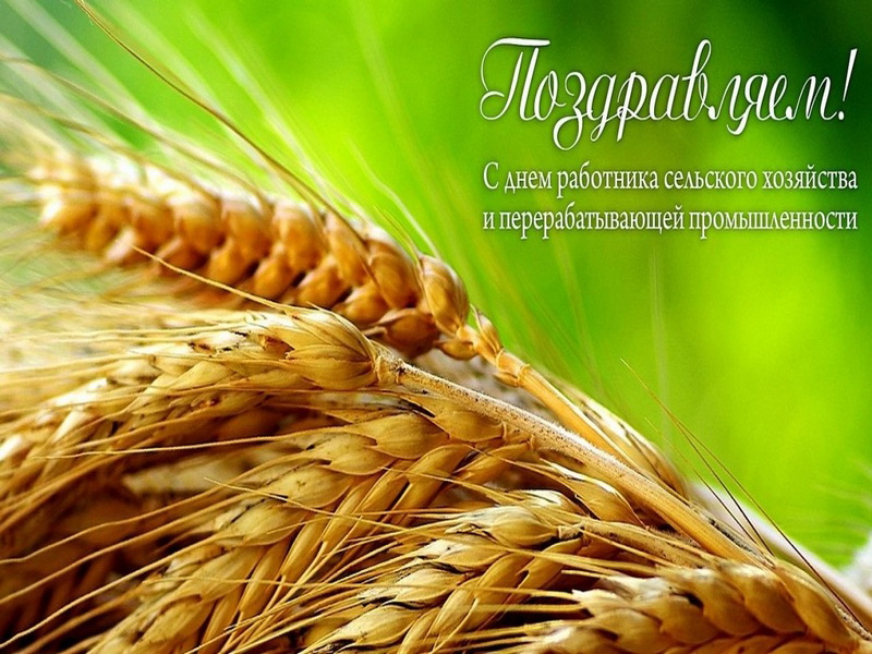 Поздравления С Днем Сельского Хозяйства В Беларуси